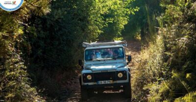 Half-Day Nun’s Valley and Sea Cliff Tour