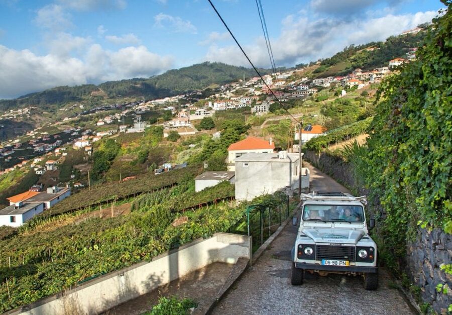Madeira: Half-Day Nun's Valley and Sea Cliff Tour - Cabo Girão and the south coast