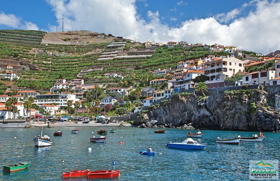 Madeira: Half-Day Nun's Valley and Sea Cliff Tour - Câmara de Lobos adds a human touch