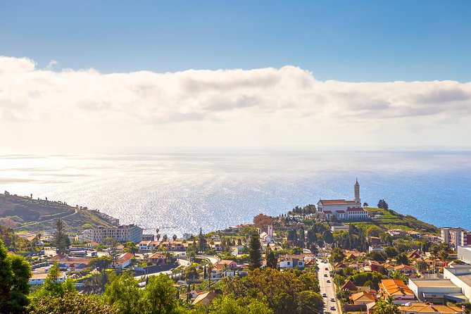 Madeira Half Day Small-Group Tour from Funchal - The guide can make or break the morning
