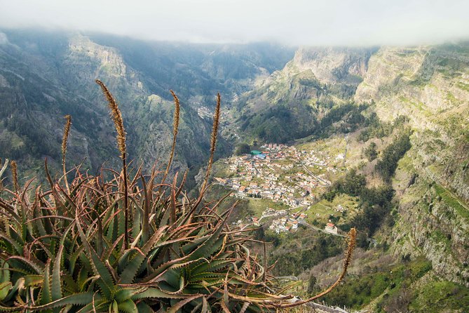 Madeira Half Day Small-Group Tour from Funchal - Weather and communication deserve attention
