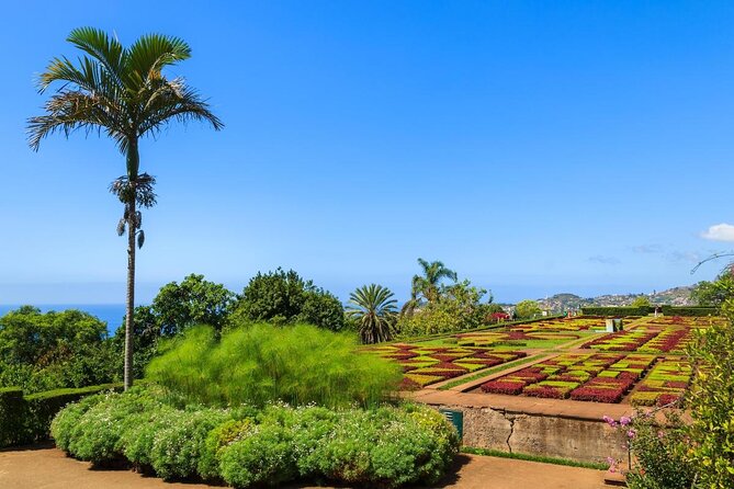 Madeira Highlights: Toboggan, Garden & Cable Car (All-Inclusive) - Key points to know before booking