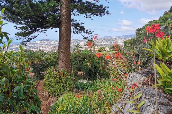 Madeira Highlights: Toboggan, Garden & Cable Car (All-Inclusive) - Is $199.13 per person fair?