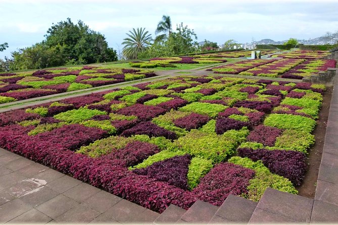 Madeira Highlights: Toboggan, Garden & Cable Car (All-Inclusive) - Who will enjoy this Madeira experience?