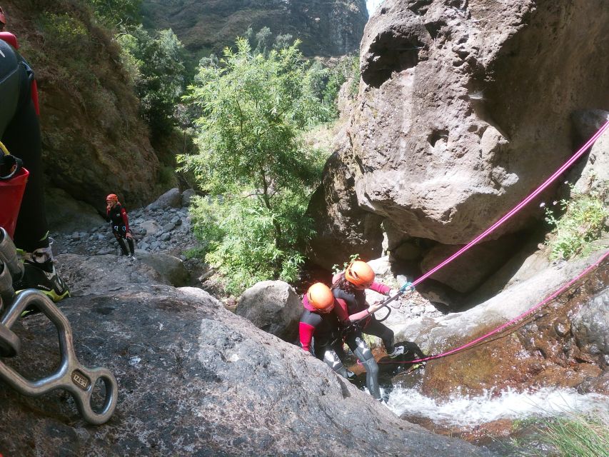 Madeira: Intermediate (Level 2) Canyoning Experience - Should you book the Ribeira do Cidrão canyoning trip?