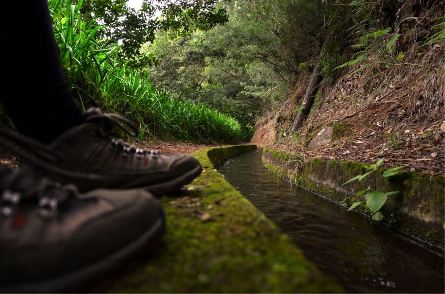 Madeira Island: Caldeirão Verde Levada Walk - A levada walk with a clear reward