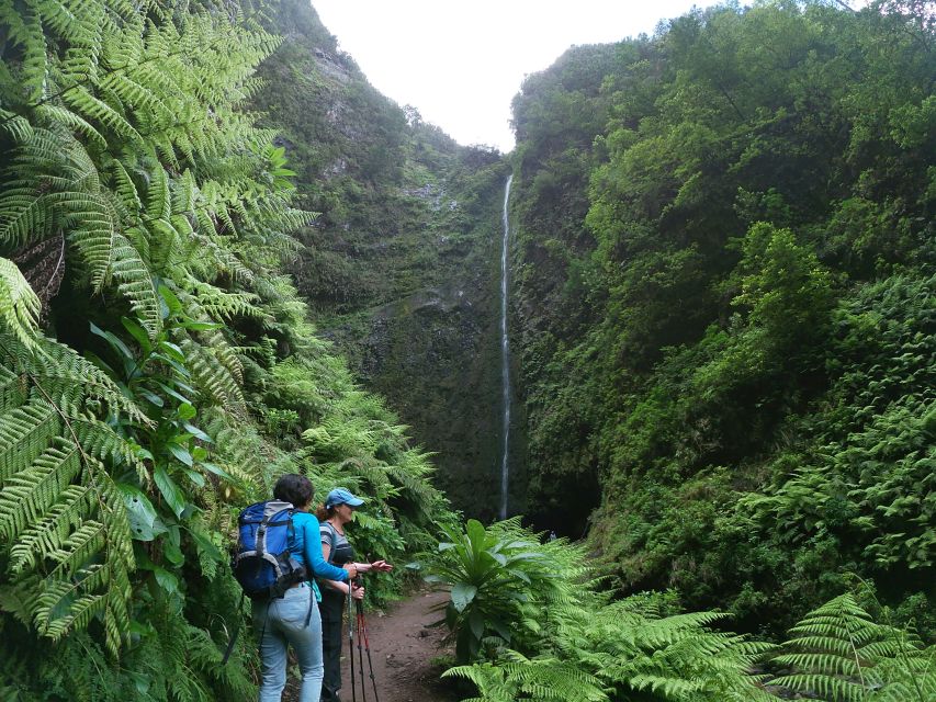 Madeira Island: Caldeirão Verde Levada Walk - Starting beside the thatched-roof house