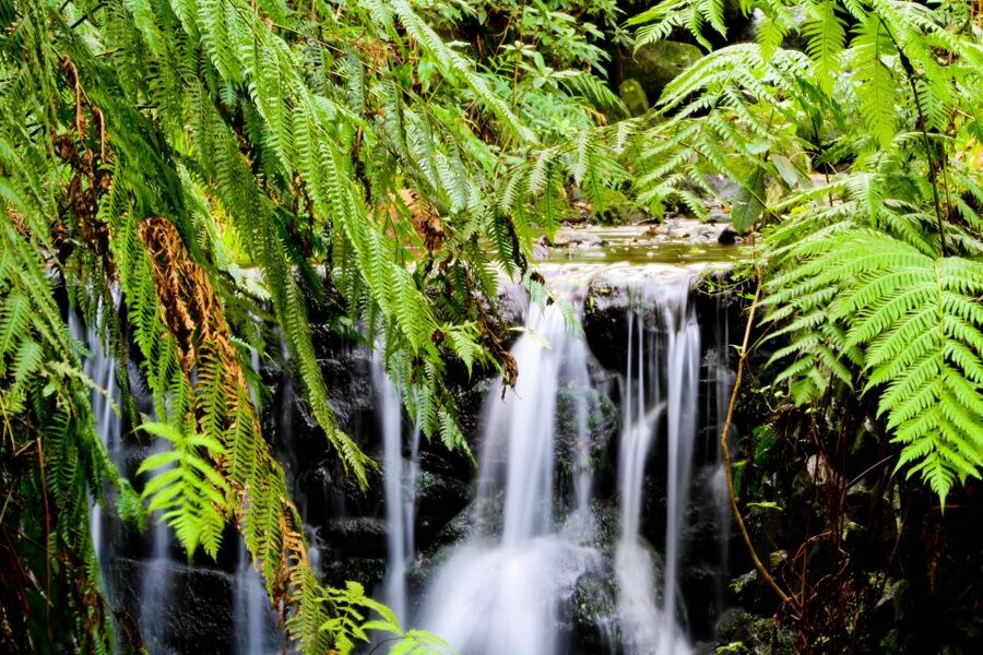 Madeira Island: Caldeirão Verde Levada Walk - What the 13-kilometer walk feels like