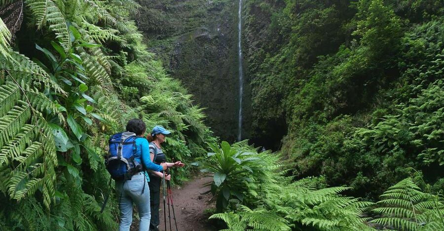 Madeira Island: Caldeirão Verde Levada Walk - Four tunnels through Madeira’s basalt