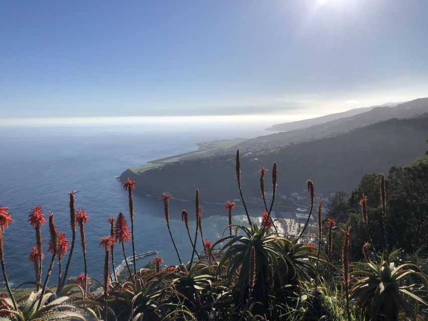 Madeira Island: Full-Day Guided Tour of Eastern Madeira - Santana and its steep straw roofs
