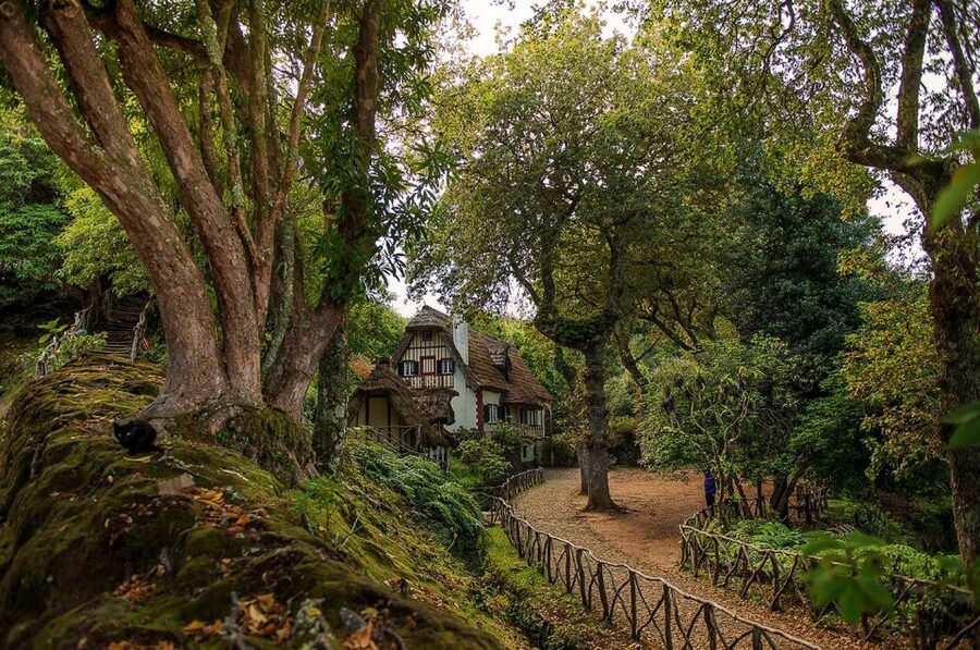 Madeira Island: Full-Day Guided Tour of Eastern Madeira - Miradouro do Guindaste and the northern coast