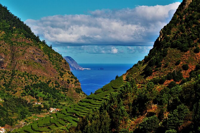 Madeira Island Private Wine Full-day Tour in all terrain vehicle - From Funchal to the high point at Encumeada