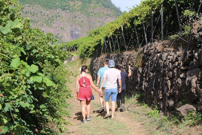 Madeira Island Private Wine Full-day Tour in all terrain vehicle - Cabo Girão and the old vineyard roads near Câmara de Lobos