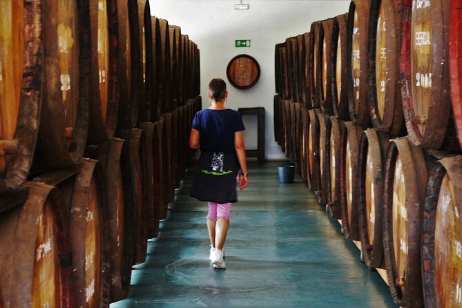 Madeira Island Private Wine Full-day Tour in all terrain vehicle - What Valdemar adds to the day