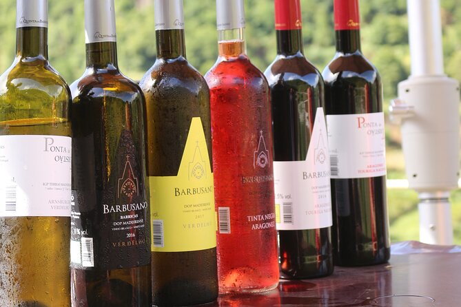 Madeira Island Private Wine Full-day Tour in all terrain vehicle - Quinta do Barbusano and the vineyards of São Vicente
