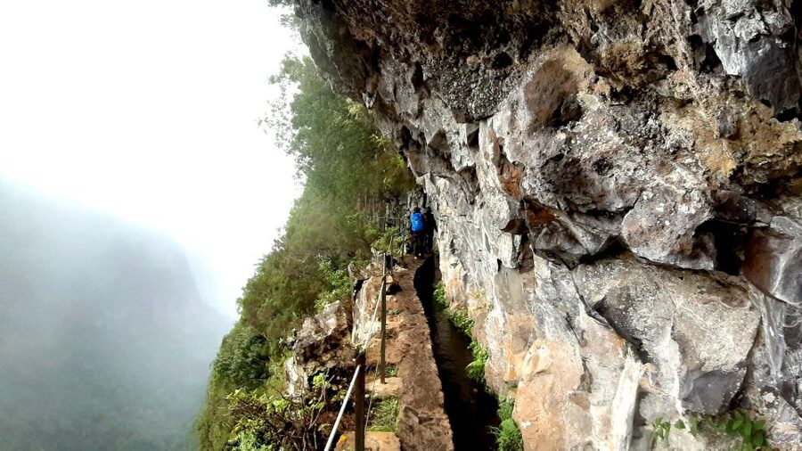 Madeira: Jungle Fever Levada Caldeirao Verde Hike Santana - Key points at a glance