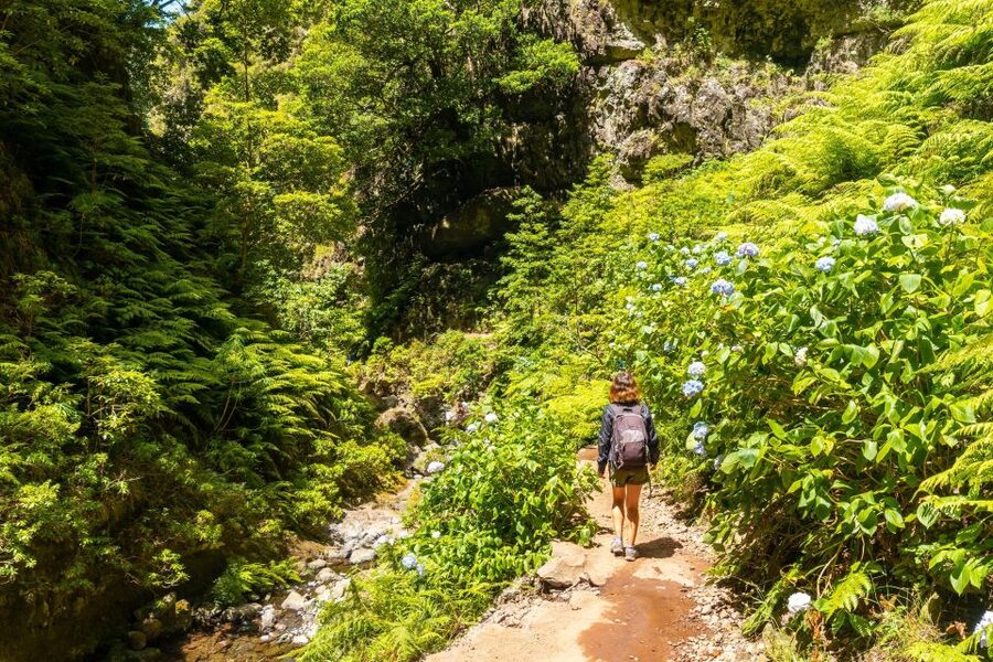 Madeira: Jungle Fever Levada Caldeirao Verde Hike Santana - Why the Caldeirão Verde trail is the star