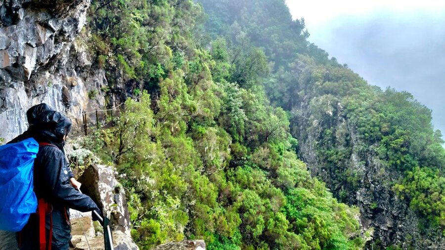 Madeira: Jungle Fever Levada Caldeirao Verde Hike Santana - Returning to Santana’s traditional houses