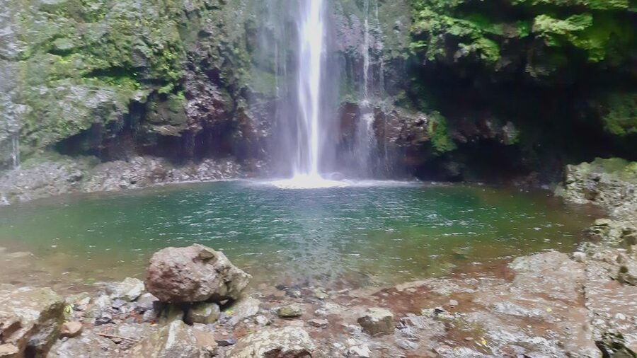 Madeira: Jungle Fever Levada Caldeirao Verde Hike Santana - Poncha and a simple local finish