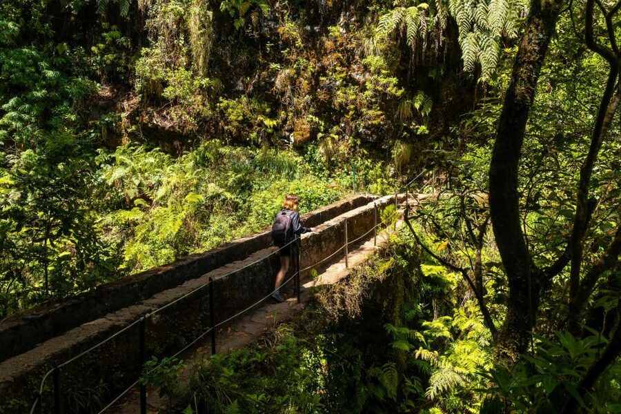 Madeira: Jungle Fever Levada Caldeirao Verde Hike Santana - Who will enjoy this, and who should skip it