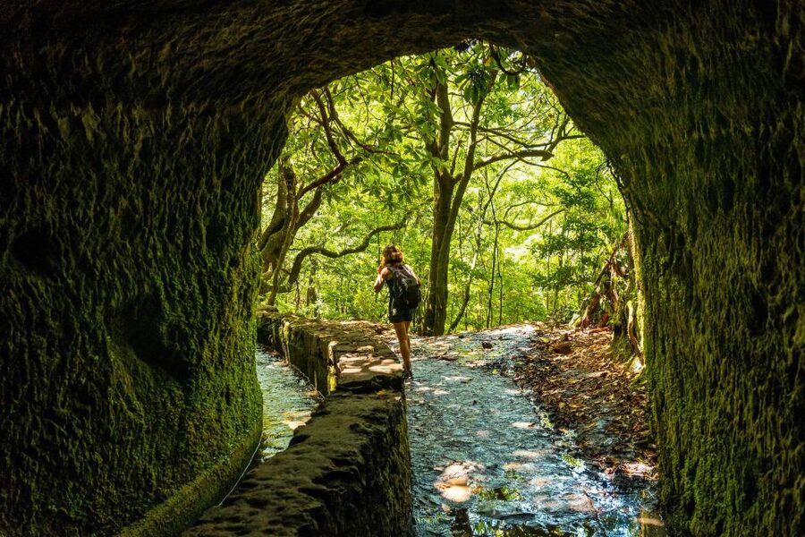 Madeira: Jungle Fever Levada Caldeirao Verde Hike Santana - Starting with coffee in Santana