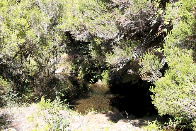 Madeira Lakes - Levada do Alecrim - Key points to know before you book