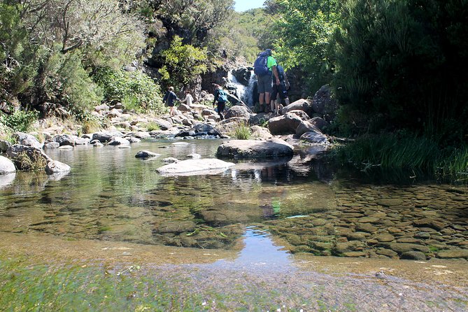 Madeira Lakes - Levada do Alecrim - Why this hike feels different from a standard Madeira walk