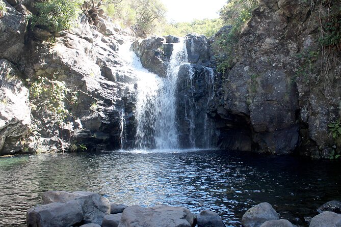 Madeira Lakes - Levada do Alecrim - What the small group changes
