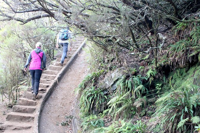 Madeira Lakes - Levada do Alecrim - Is the $52.09 price good value?