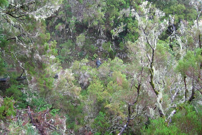 Madeira Levada Walk - Rabacal Lakes and Fountains - From Funchal to the high forest