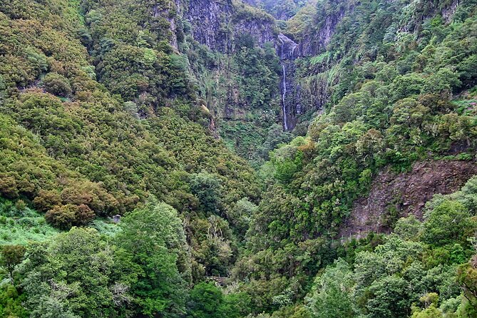 Madeira Levada Walk - Rabacal Lakes and Fountains - Is $52.86 good value?