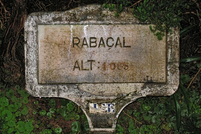 Madeira Levada Walk - Rabacal Lakes and Fountains - Pickup, group size, and small practical details