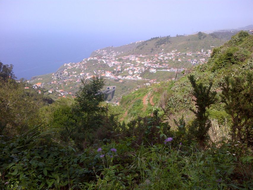 Madeira: Levado do Norte 2-Hour Hiking Tour - The guide and the pace