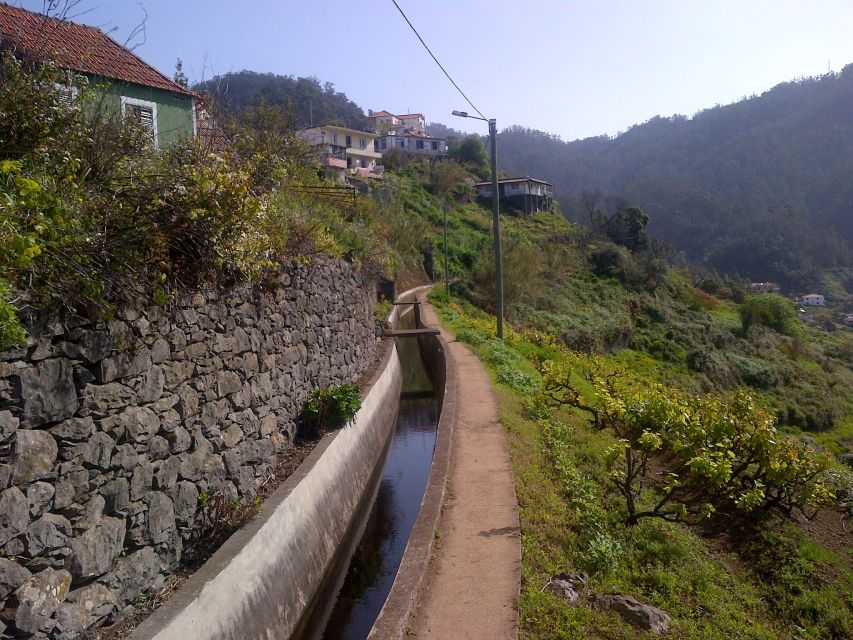Madeira: Levado do Norte 2-Hour Hiking Tour - Hotel pickup and the real timing
