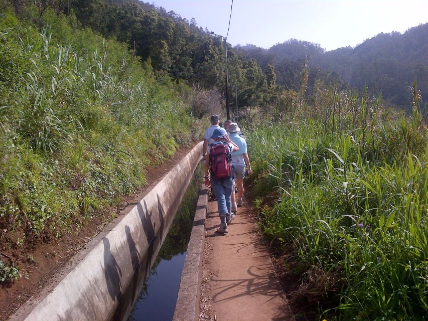 Madeira: Levado do Norte 2-Hour Hiking Tour - Should you book the Levado do Norte walk?