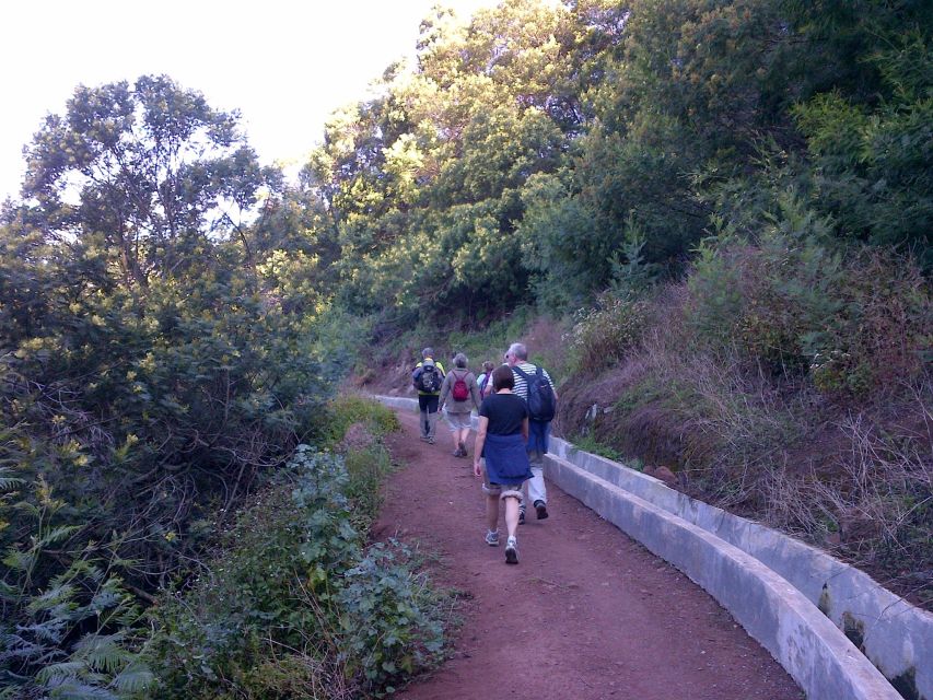 Madeira: Maroços Landscapes 2.5-Hour Guided Walk - Walking the Levada dos Maroços Above Machico