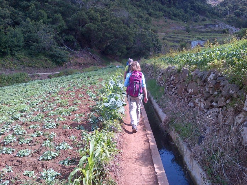 Madeira: Maroços Landscapes 2.5-Hour Guided Walk - Why Machico’s Terraces Matter