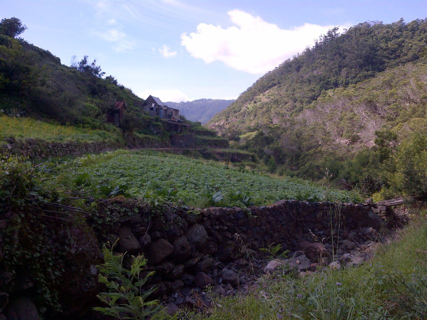 Madeira: Maroços Landscapes 2.5-Hour Guided Walk - How the Guide Affects the Experience