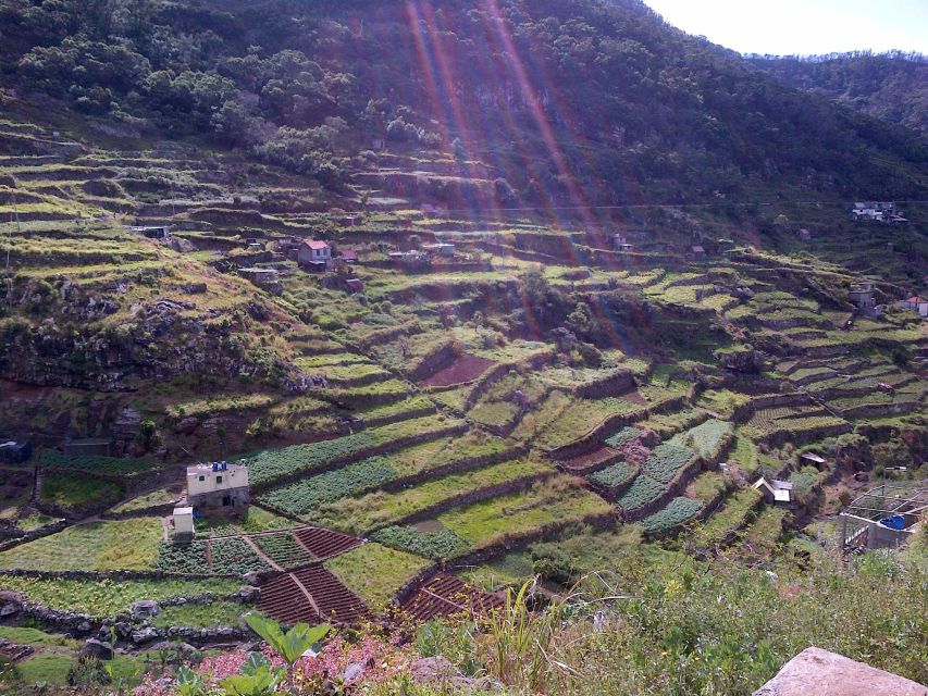Madeira: Maroços Landscapes 2.5-Hour Guided Walk - What the 2.5-Hour Route Feels Like
