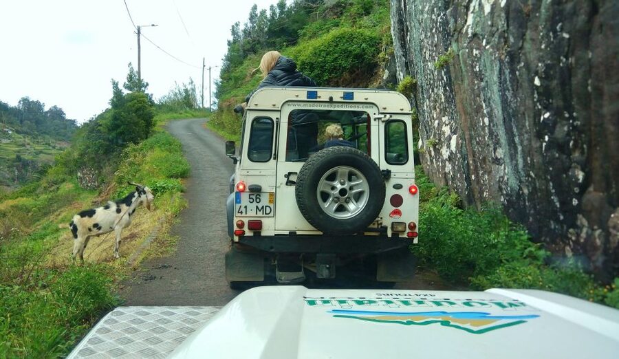 Madeira: Mini-Combo East Challenge: Jeep Safari + Levada - Why this short Madeira tour works