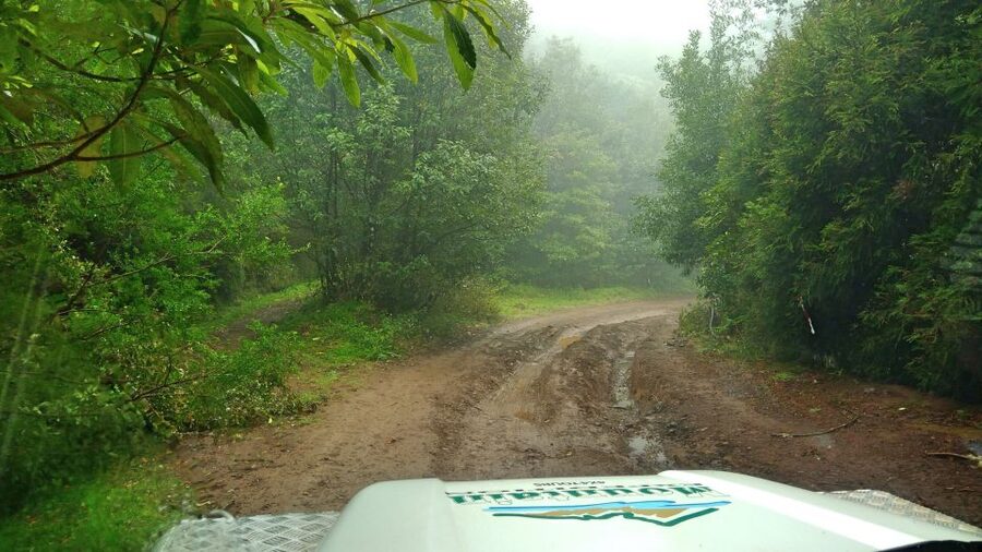 Madeira: Mini-Combo East Challenge: Jeep Safari + Levada - Camacha and the island’s wicker tradition