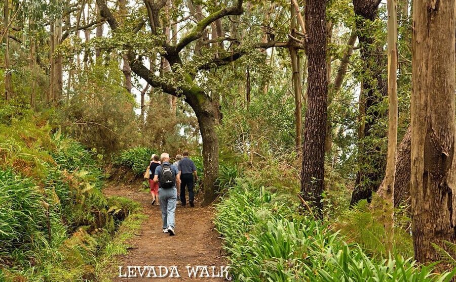 Madeira: Mini-Combo East Challenge: Jeep Safari + Levada - Machico closes the route with a broad view
