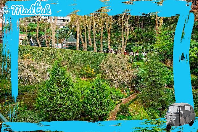 Madeira Monte Tobbogans and Old Town Tuk Tuk Tour by MadTuk - The Monte Toboggan Ride