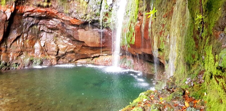 Madeira: Mountain Walk with Lagoon and Waterfalls - Reaching Madeira’s high country by minibus
