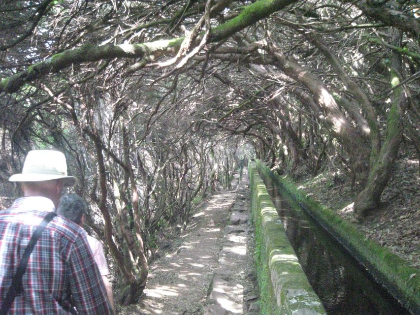 Madeira: Mountain Walk with Lagoon and Waterfalls - Arriving at the lagoon of 25 waterfalls