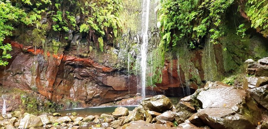 Madeira: Mountain Walk with Lagoon and Waterfalls - What the guide adds, and what the guide may not add