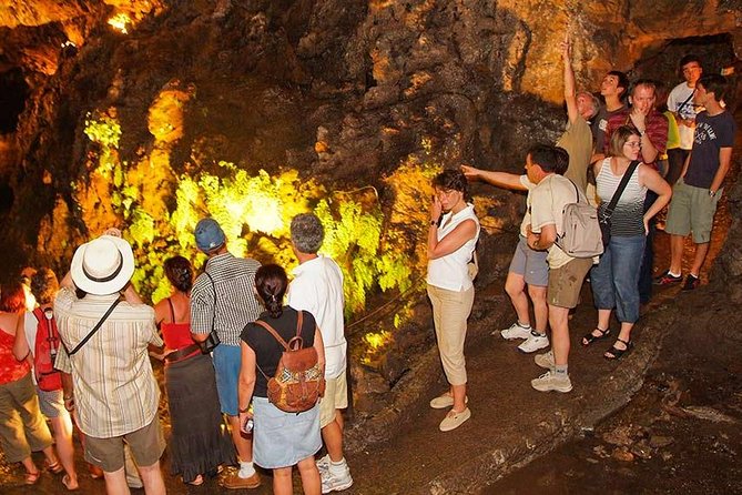 Madeira Northern Wonders Tour from Funchal - Key points to know before booking