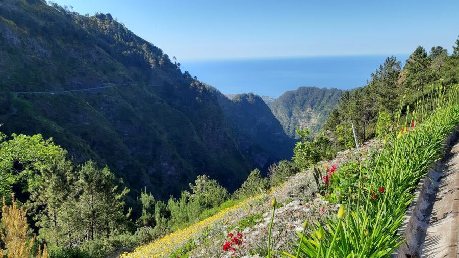 Madeira: Nun's Valley Private Tour - Practical limits you should know