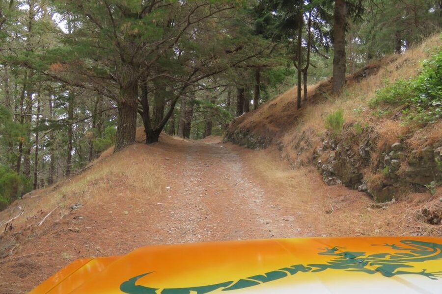 Madeira : Nun's Valleys and Pico Areeiro 4X4 Tour - How this compares with exploring independently
