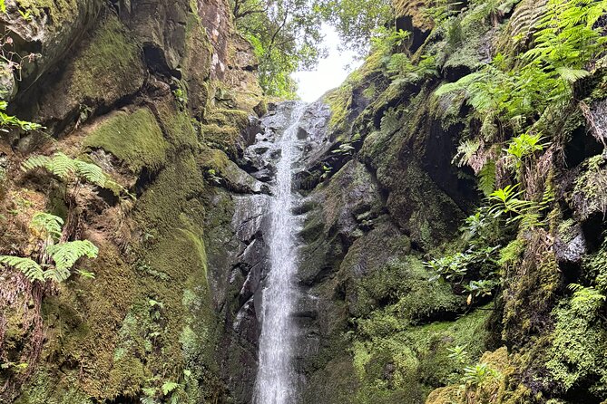 Madeira Off-Road 4x4 Jeep Adventure Private Full day Tour - What the off-road section is really like